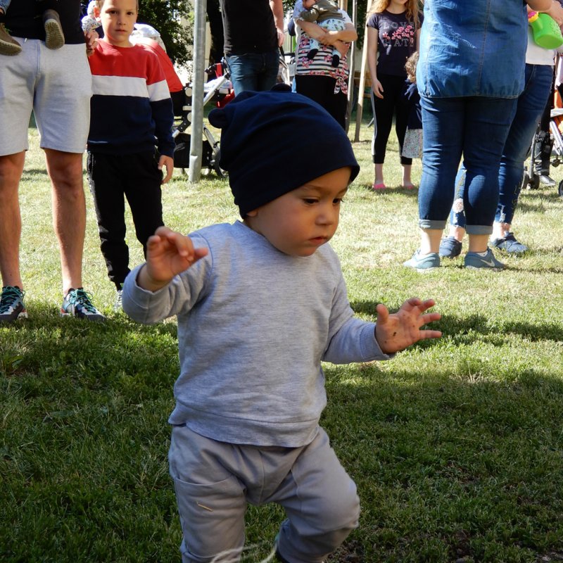 Életfa ültetés a város napján 37